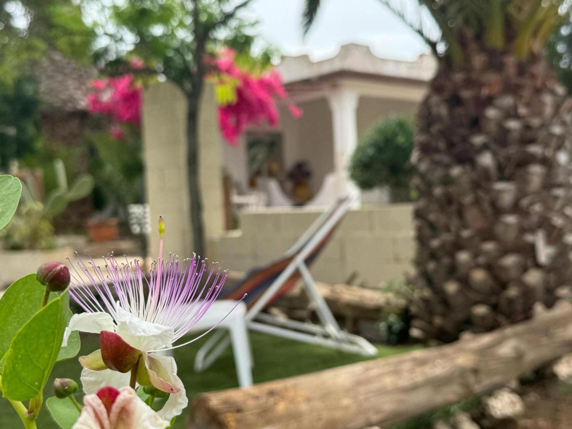 Villa Torretta - Mare Salento มารีนา ดี ลิซซาโน ภายนอก รูปภาพ