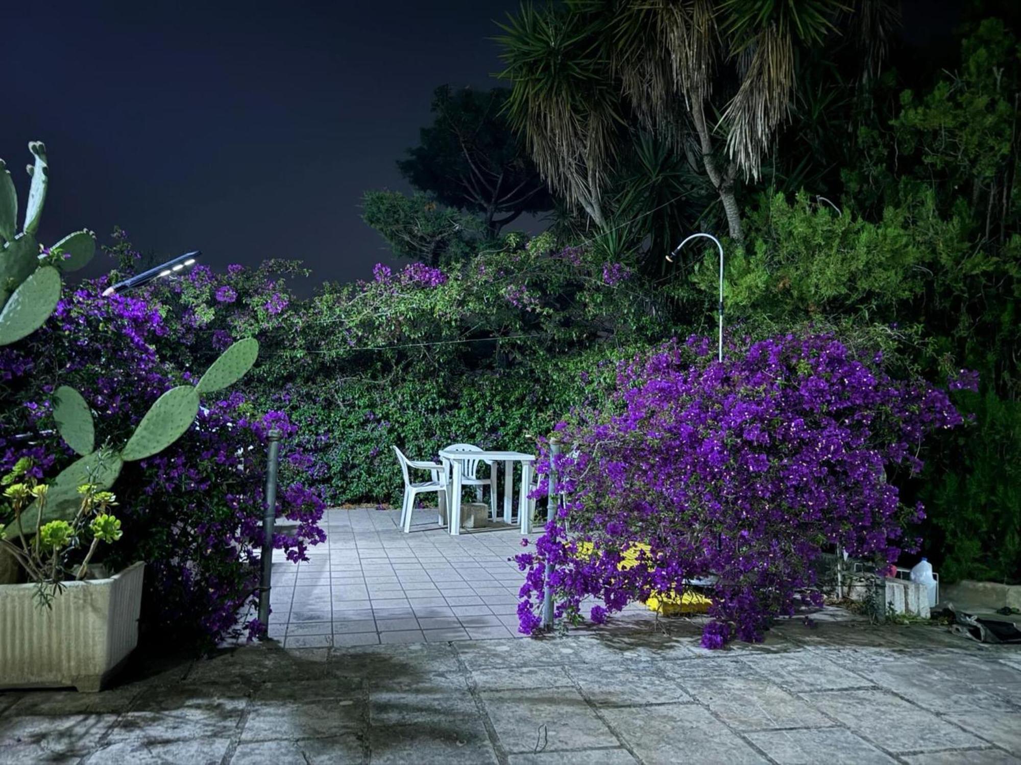 Villa Torretta - Mare Salento มารีนา ดี ลิซซาโน ภายนอก รูปภาพ