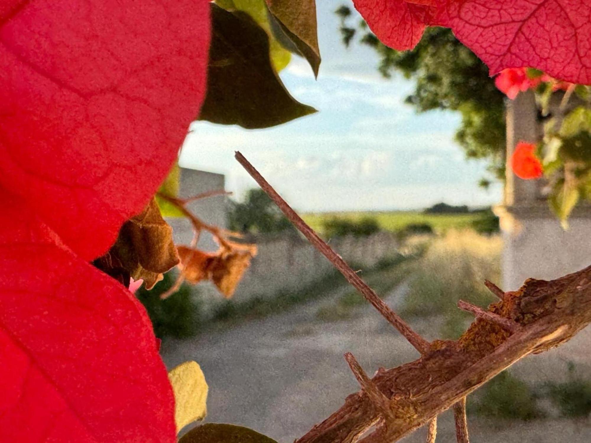 Villa Torretta - Mare Salento มารีนา ดี ลิซซาโน ภายนอก รูปภาพ