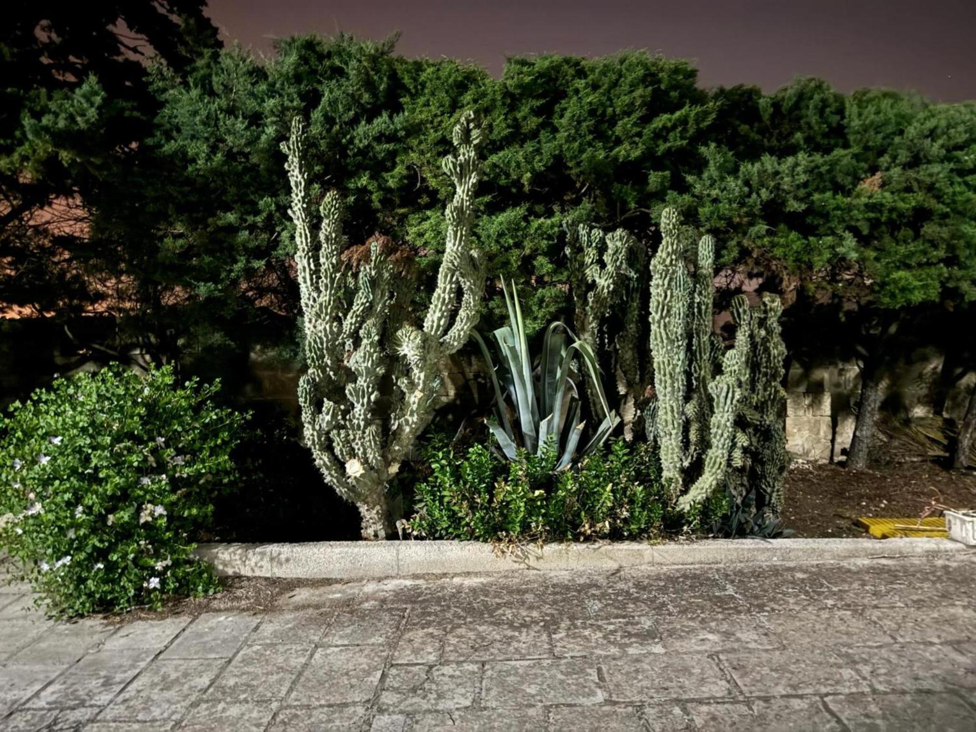 Villa Torretta - Mare Salento มารีนา ดี ลิซซาโน ภายนอก รูปภาพ