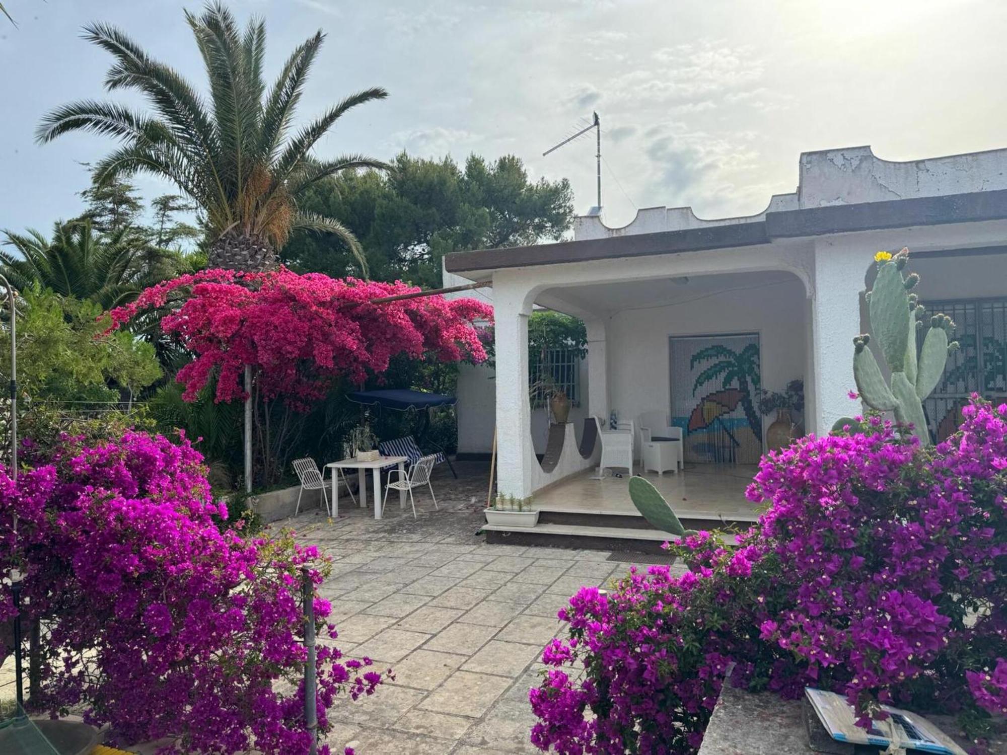Villa Torretta - Mare Salento มารีนา ดี ลิซซาโน ภายนอก รูปภาพ