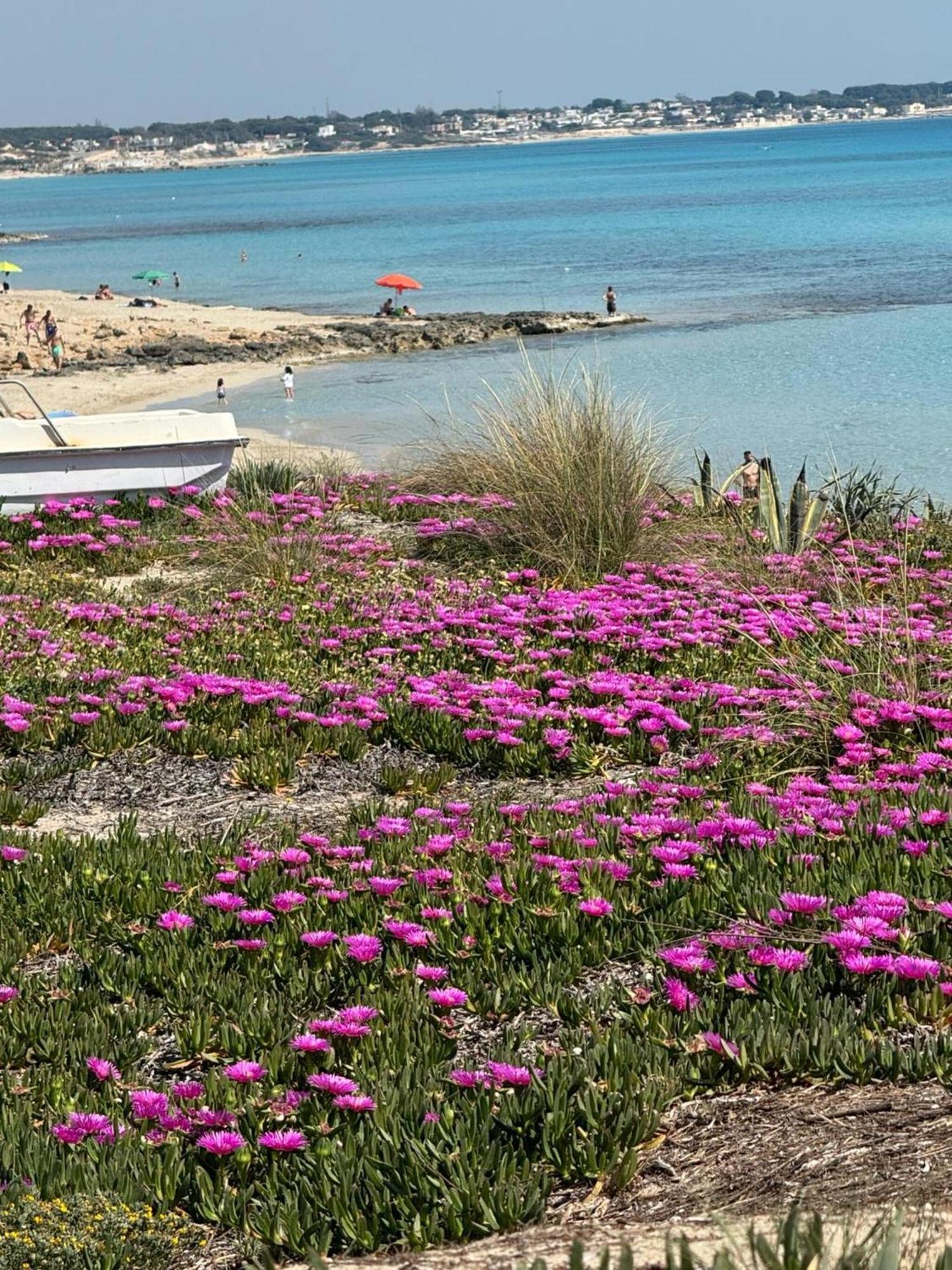Villa Torretta - Mare Salento มารีนา ดี ลิซซาโน ภายนอก รูปภาพ